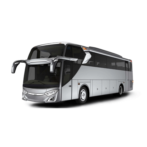 Bus Pariwisata